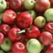 APPLE EXTRACT