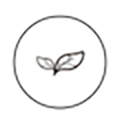 Vitis Vinifera (Grape) Peel/Leaf Extract