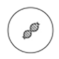 Trifluoroacetyl Tripeptide-2