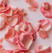 ROSA CENTIFOLIA FLOWER EXTRACT