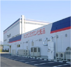 company